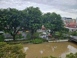 The Sunny Spring (D14), Apartment #421575781